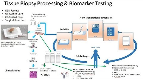 21 Principles of Biomarker Testing: Part 1 Tissue Testing