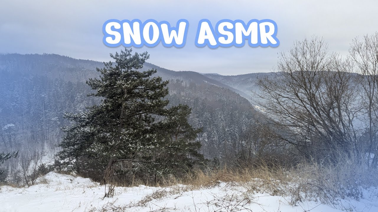 Snowy Forest ASMR❄️ | Calming Winter Sounds