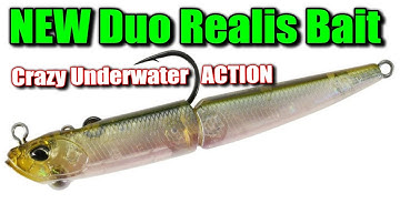 The NEW Japanese Bait You Need NOW To Catch More Fish Than Ever