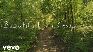 Amy Grant - Beautiful Lone Companion