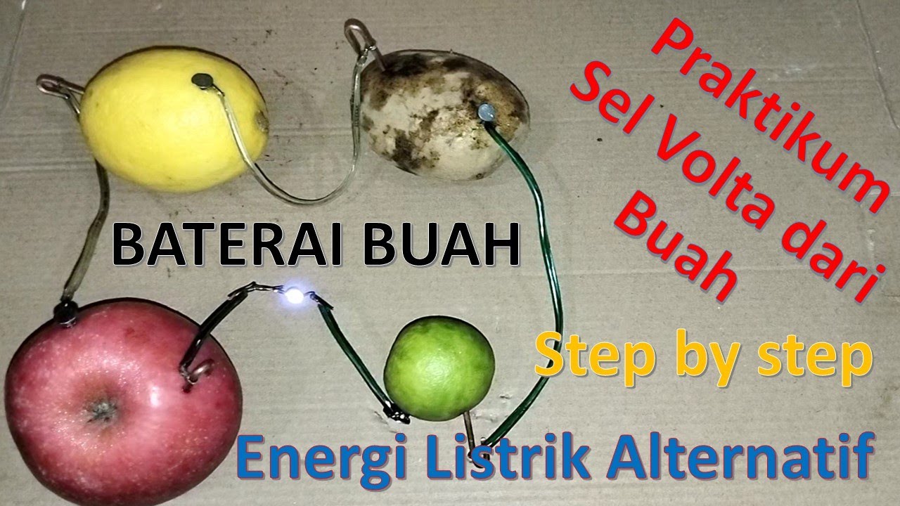 Baterai Buah dari Lemon Kentang Jeruk Nipis Apel - Praktikum - Energi