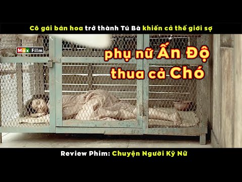 Video: 14 con chó mẹ siêu sao người đưa con chó con của họ tình yêu đến cấp độ khác