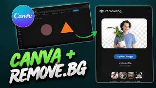 How to Create a Transparent Background in Canva for Free (Quick Guide)