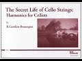 The secret life of cello strings 33 amazing grace
