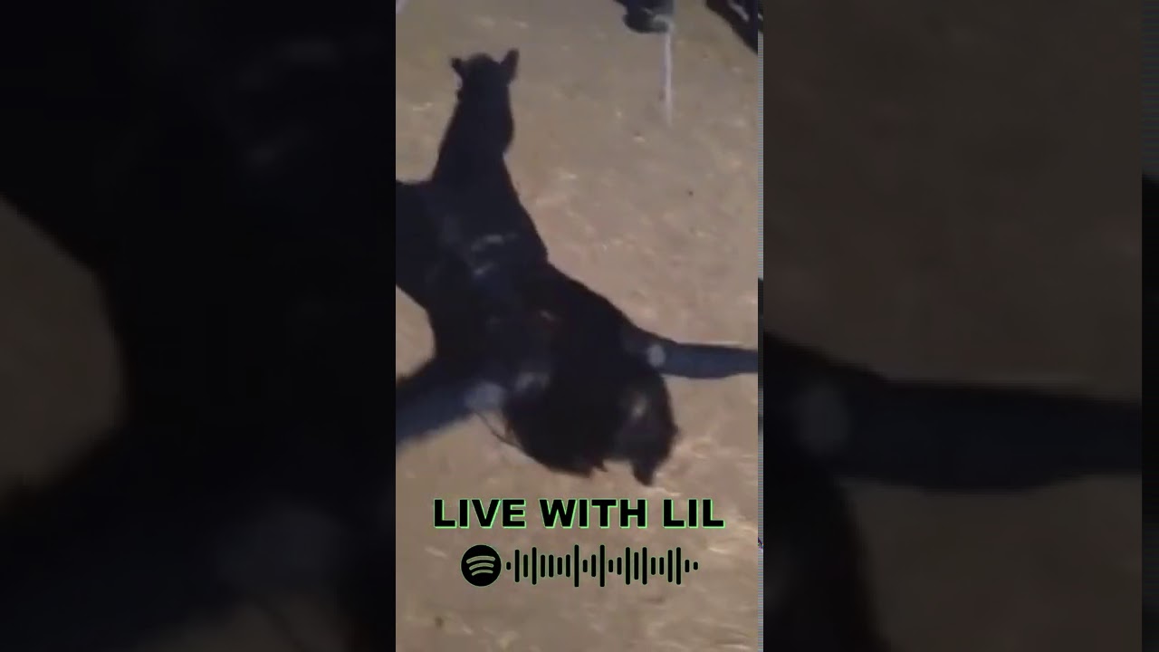 Ming-Na Wen getting it done 🤩💪