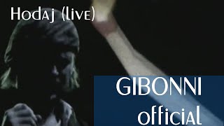 Video thumbnail of "Gibonni - Hodaj (live)"