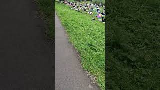 walk-time 176 #live #nature #music #viral #news #sports #youtubeshorts #world
