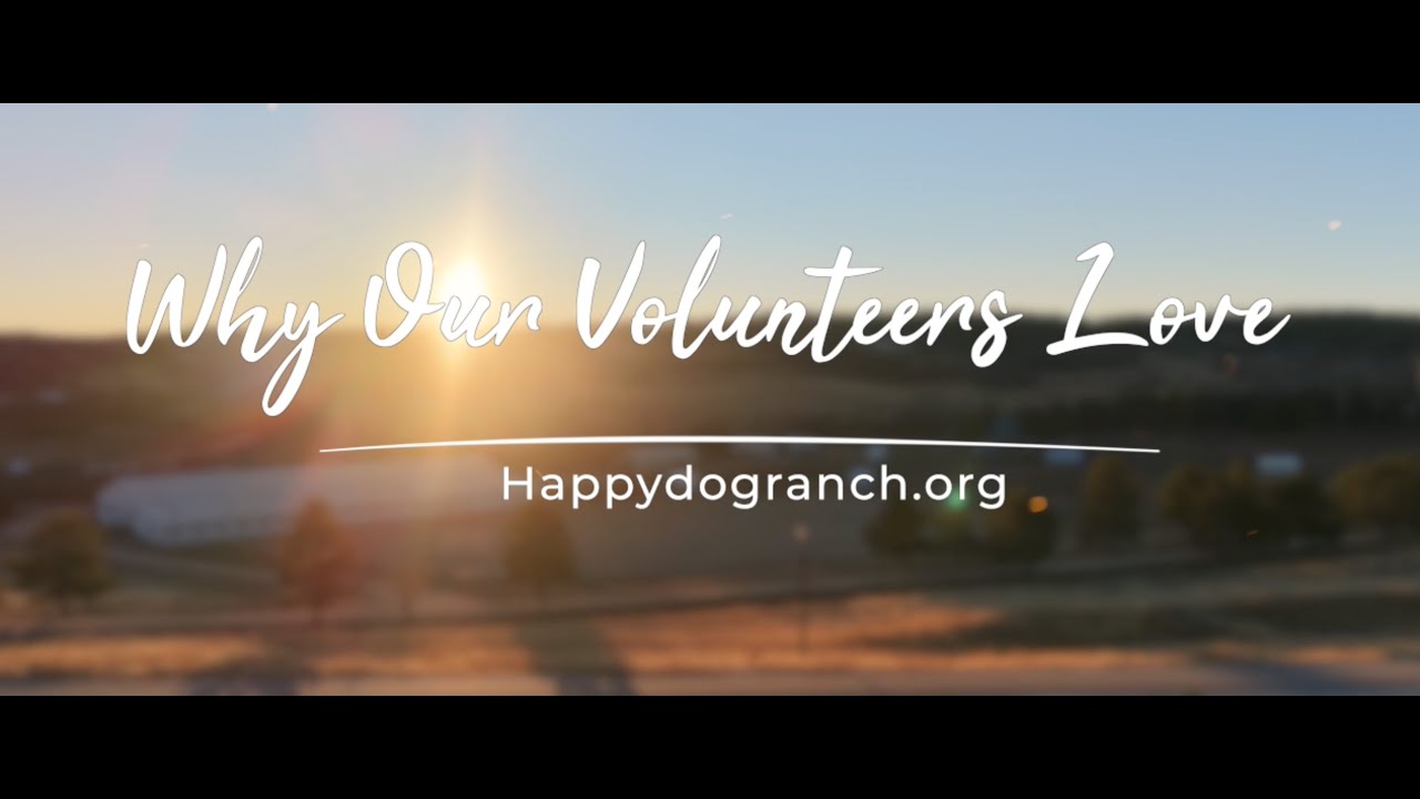 Why We Love Happy Dog Ranch - YouTube