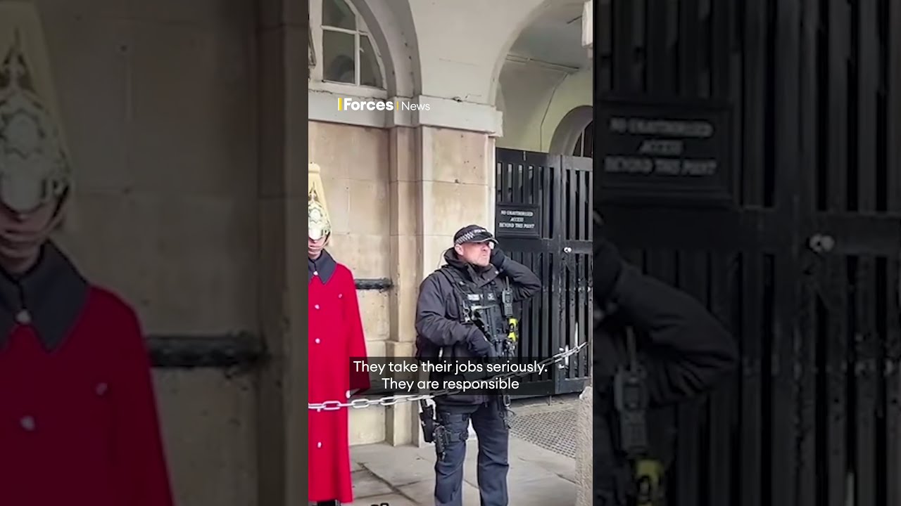 Armed Police Officer Shuts Down Tourists Heckling King S Guard