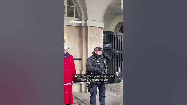 Armed police officer shuts down tourists heckling King's Guard