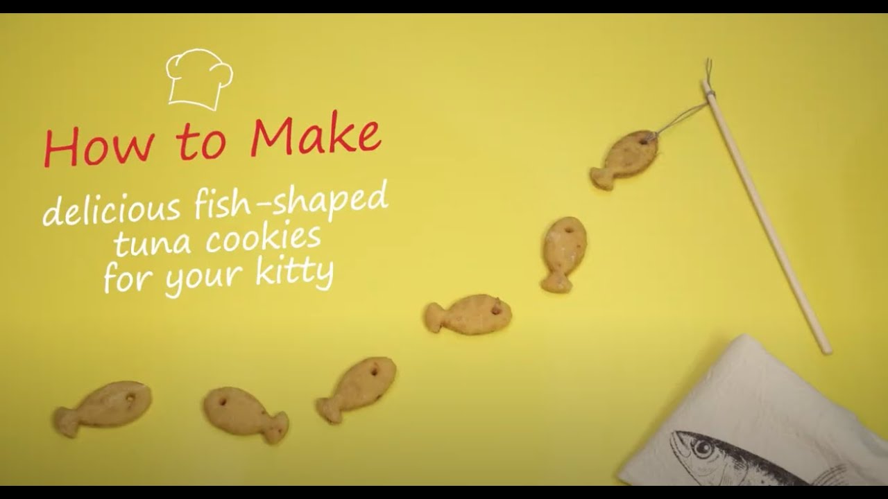 DIY: Make The Purrfect Tuna Cookies For Your Cat