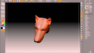 Zbrush Symmetry Rotation