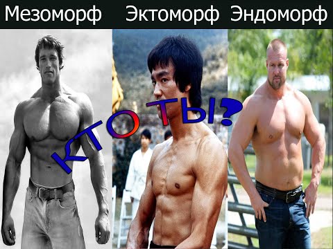 Типы телосложения. Как узнать свой тип телосложения: Эктоморф? Мезоморф?  Эндоморф?