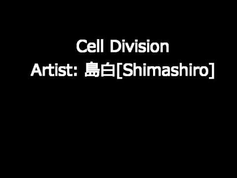 Cell Division - 島白 (short ver.)