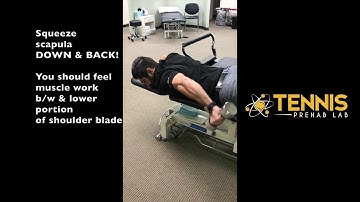 Best Lower Trapezius Activity Exercises