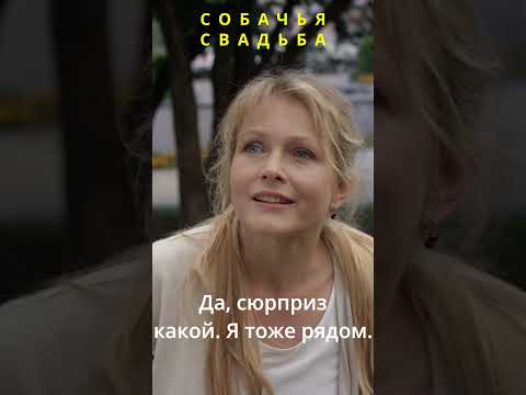 Собачья свадьба. Фильм: Замуж после всех #кино #детектив #моменты #рек
