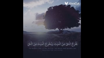 #تلاوة_خاشعة سورة الروم
