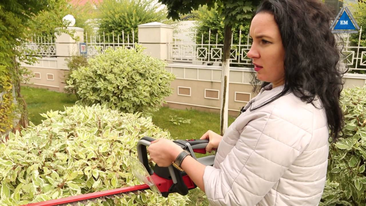 Кусторез аккумуляторный Oregon HT255