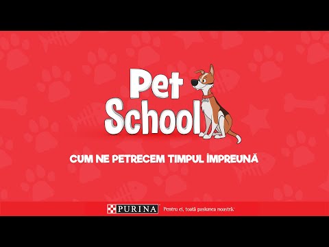 Video: Câini mai prietenoși