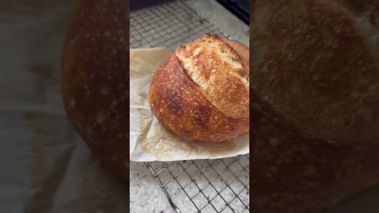 Sourdough Mini Loaf- Recipe - Crafty Gemini