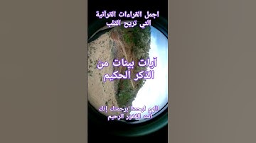 آيات بينات من الذكر الحكيم #القرآن_الكريم #آية #تلاوه #الحنجرة_الذهبية #quran #explore #قران