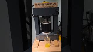 видео: Масло горчицы, инструкция по отжиму. картинка: Масло горчицы, инструкция по отжиму.