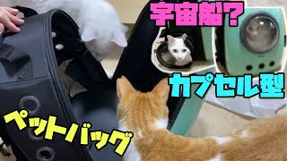 宇宙船カプセル型ペットバッグ開封！だいふくが入ってあそぶ！