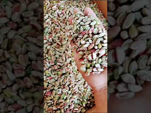 قلب فستق حلبي بوزا نخب اول حماه مورك 2023 علاء الخالد00963999735357 00963934625939