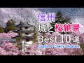 信州・長野県の桜名所！城と桜絶景ベスト10選 / 松本城・高遠城址・高島城・上田城など / 10 Best Castle and Cherry Blossom in Nagano, Japan