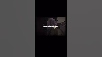#سورة_الجاثية #قرآن #محمد_اللحيدان