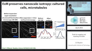 Tools for mapping and repairing the brain [part 1]