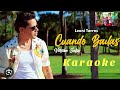 CUANDO BAILAS Leoni Torres Karaoke (Tema Original   Coros)