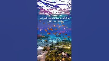 #سر موجود في سورة الفاتحة لو قلته لسعى إليك رزقك #المصحف 📖