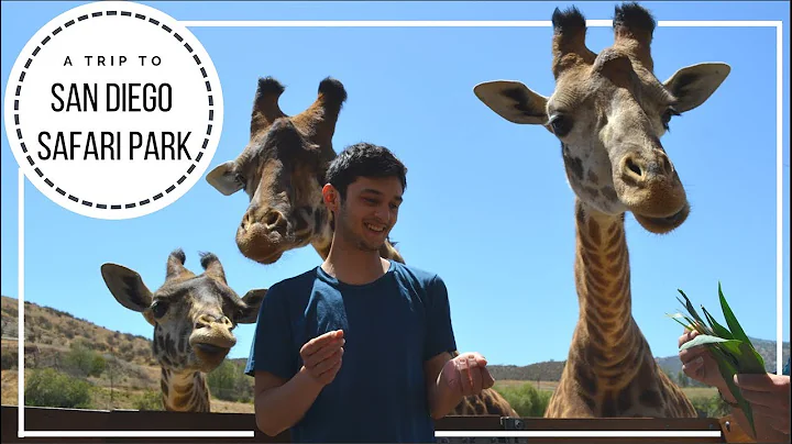 My Trip To The San Diego Safari Park