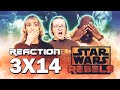 NEW DROID, WHO THIS - Star Wars: Rebels - 3x14 Warhead - Group Reaction