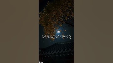 وَإِنَّ رَبَّكَ لَيَعْلَمُ مَا تُكِنُّ صُدُورُهُمْ وَمَا يُعْلِنُونَ || القارئ اسلام صبحي