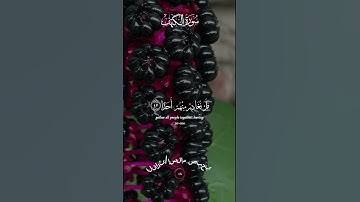 بصوت قاري  اسلام صبحي# القرآن الكريم#quran verses