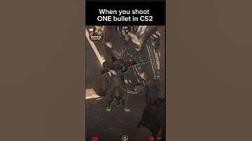 Just CS2 players know this pain              #cs2 #gaming #fps #shorts #fyp