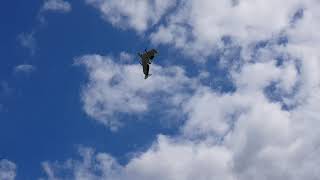 Vtol Tailsitter first and last flight
