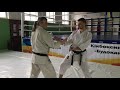 Техника удара Кизами Цуки | Нокаутирующий удар в карате-до