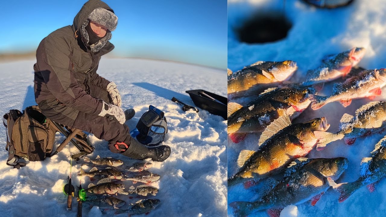 KIRKKAALTA PAKKASKELILTÄ KOMEAT RUOKA-AHVENET