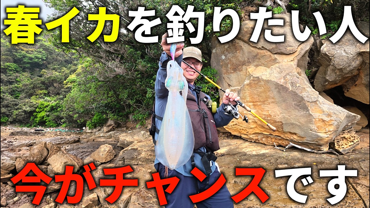 春イカをエギングで釣りたい人、1年の中でも「5月」は絶好のチャンスです！