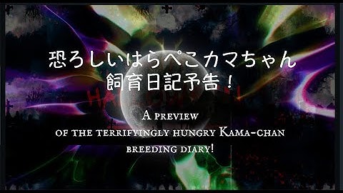 恐ろしいカマキリはらぺこカマちゃん飼育日記予告The Terrifying Praying Mantis - Preview of the Hungry