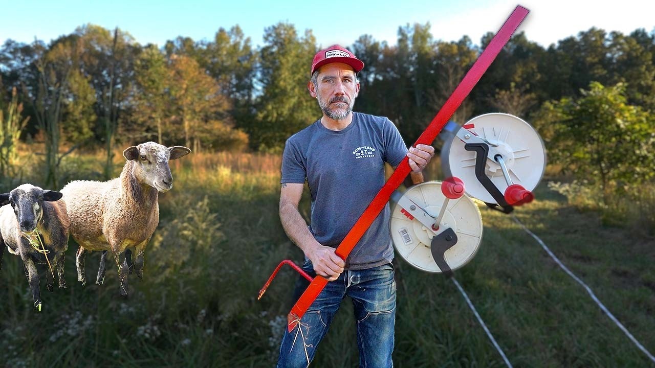 Инструмент для самостоятельного выпаса овец с электрическим ограждением фермы
