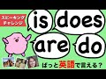 【英語の基本】写真でスピーキングチャレンジ！（三人称 is are does do ）英会話に役立つよ！写真描写 [#241]
