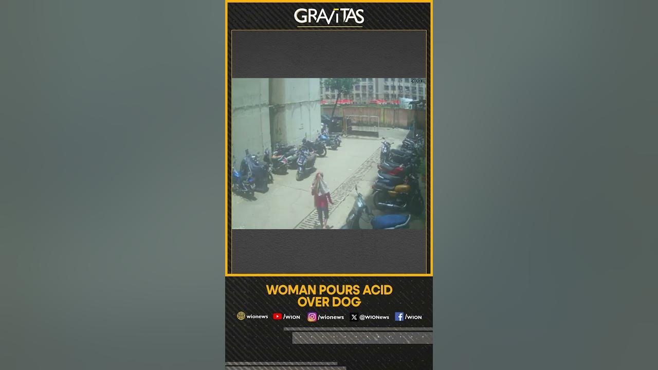 Gravitas: Woman pours acid over dog | WION Shorts
