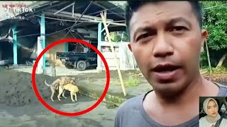 video lucu bikin ngakak sakit perut terbaru 2022, wik wik jepang #part3 #subscribeYah