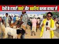          thousands of deshi goats in basna goat market cg