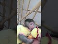Ники жалуется чуточку ударилась ну даже не заметно а рассказывает целую драмму Ники жалуется чуточку ударилась ну даже не заметно а рассказывает целую драмму