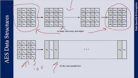 Lecture 12 - D(I)S&E - SP21